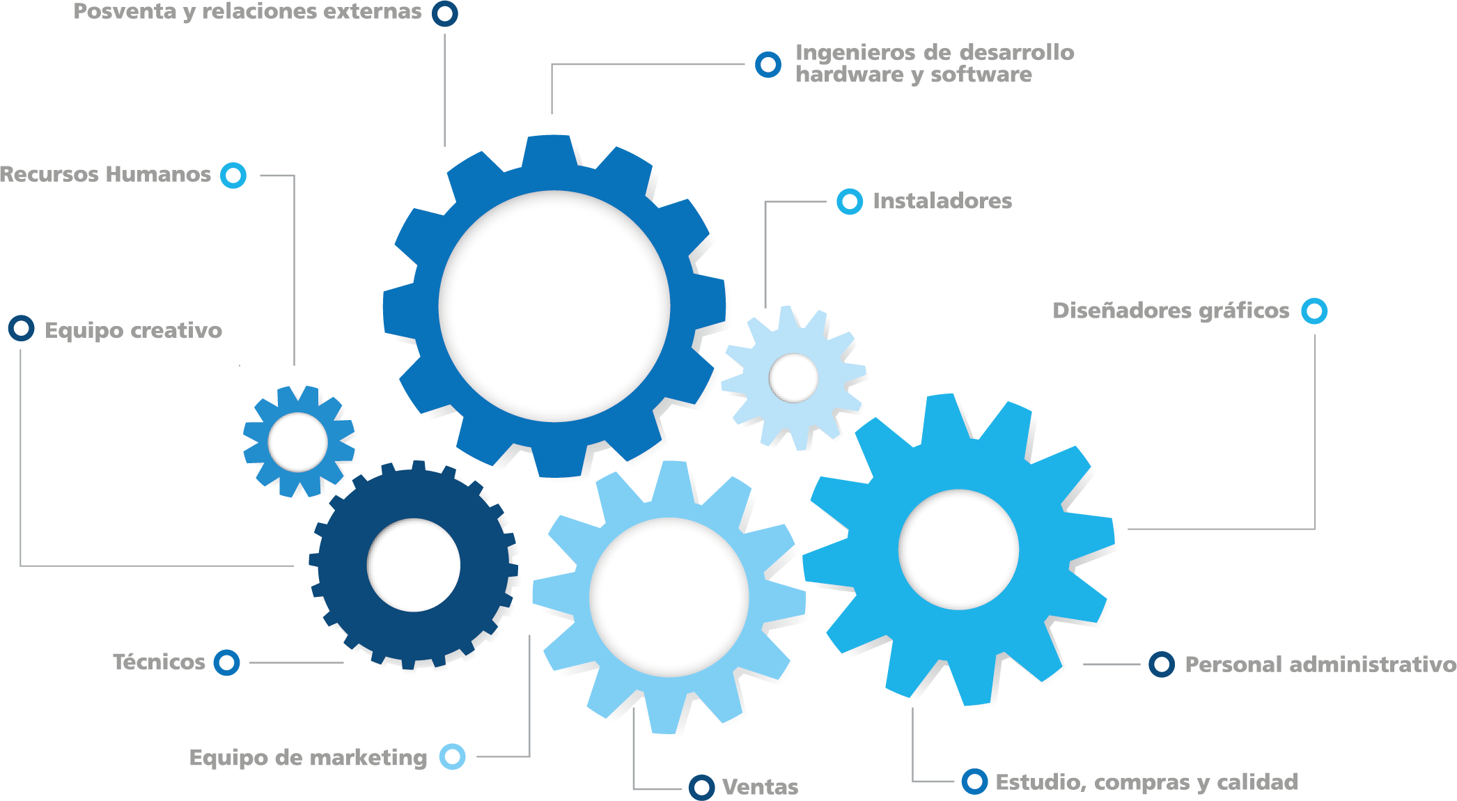 representación gráfica de la estructura del equipo de SOLERTIA HOSPITALITY SOLUTIONS S.L.U