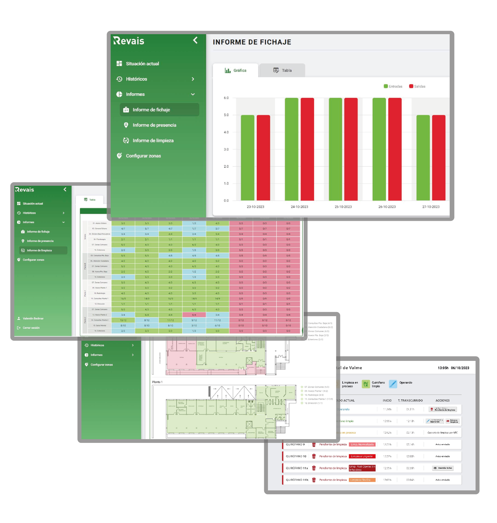 representación gráfica del desarrollo del software Revais por parte de Solertia